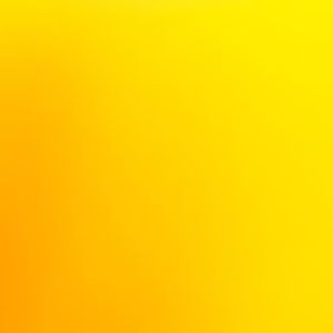 Meet your Posher, Harley